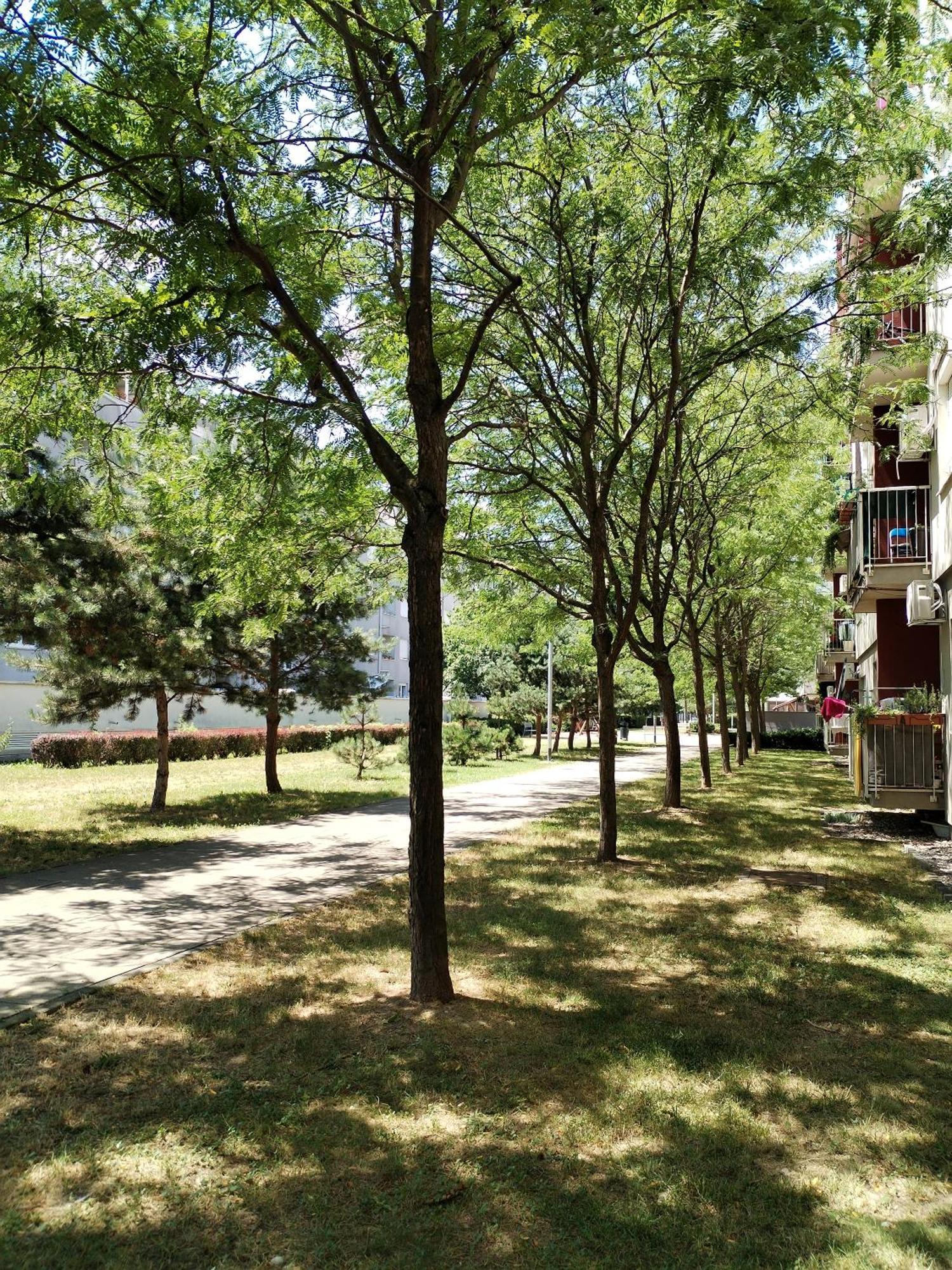 זאגרב Apartman Ivana מראה חיצוני תמונה