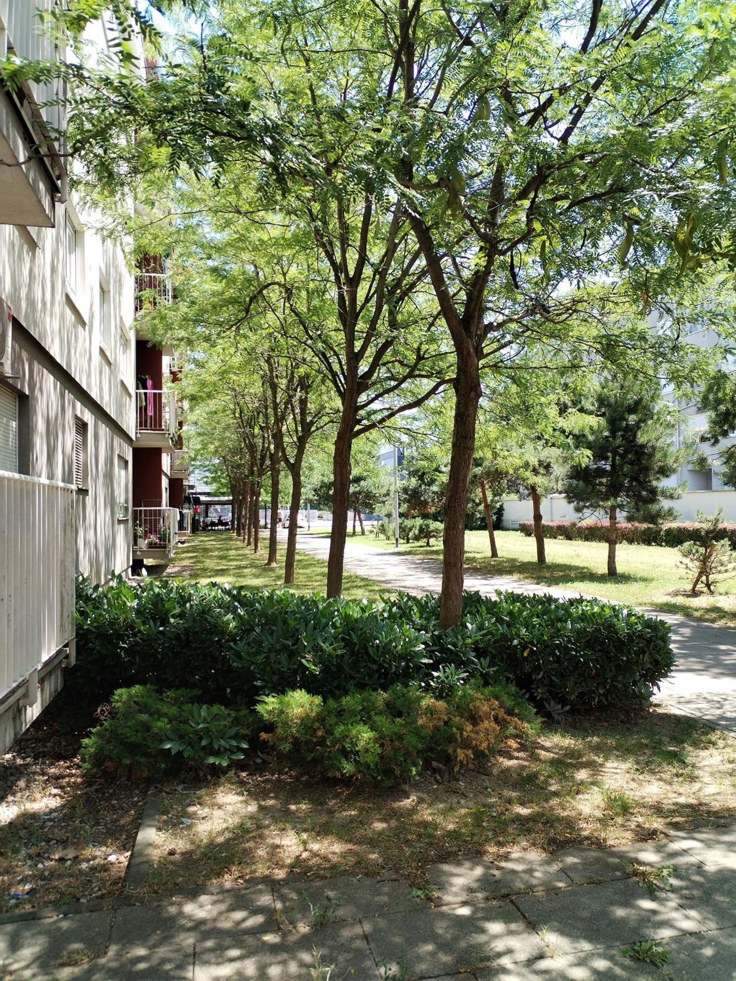 זאגרב Apartman Ivana מראה חיצוני תמונה